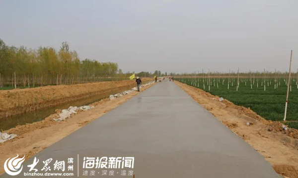 泊頭網(wǎng)站建設(shè)工程(泊頭市公共資源招標(biāo)公告)