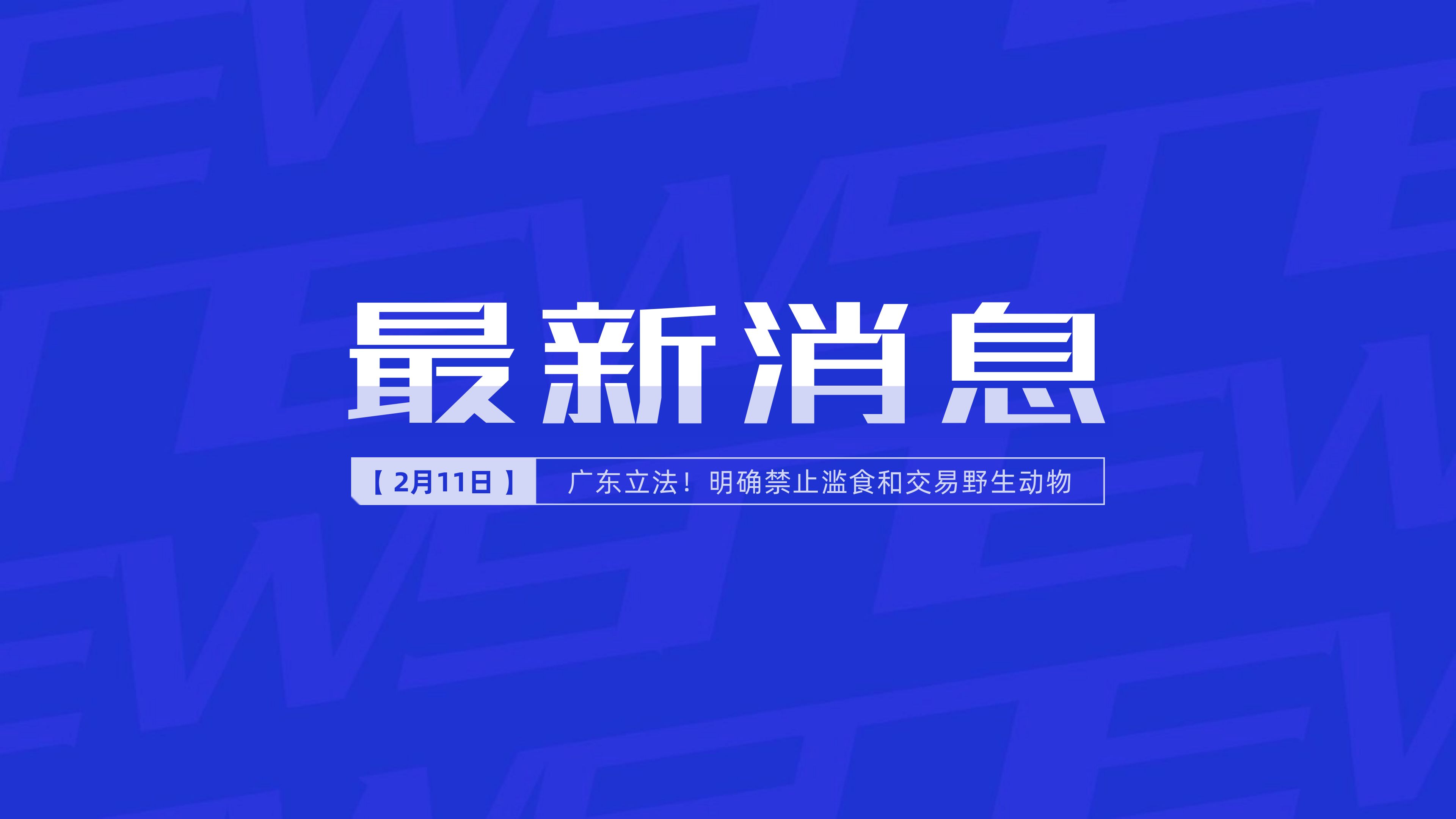 互聯(lián)網(wǎng)新新聞信息(互聯(lián)網(wǎng)新新聞信息服務(wù))