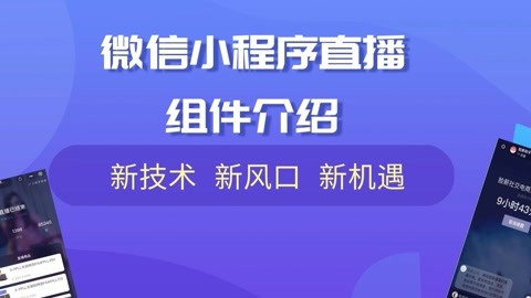 小程序開(kāi)發(fā)視頻全部(小程序開(kāi)發(fā)視頻全部流程)