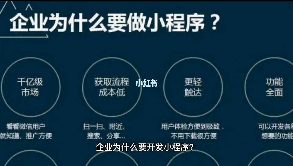 小程序怎么共同開(kāi)發(fā)(小程序怎么共同開(kāi)發(fā)出去)