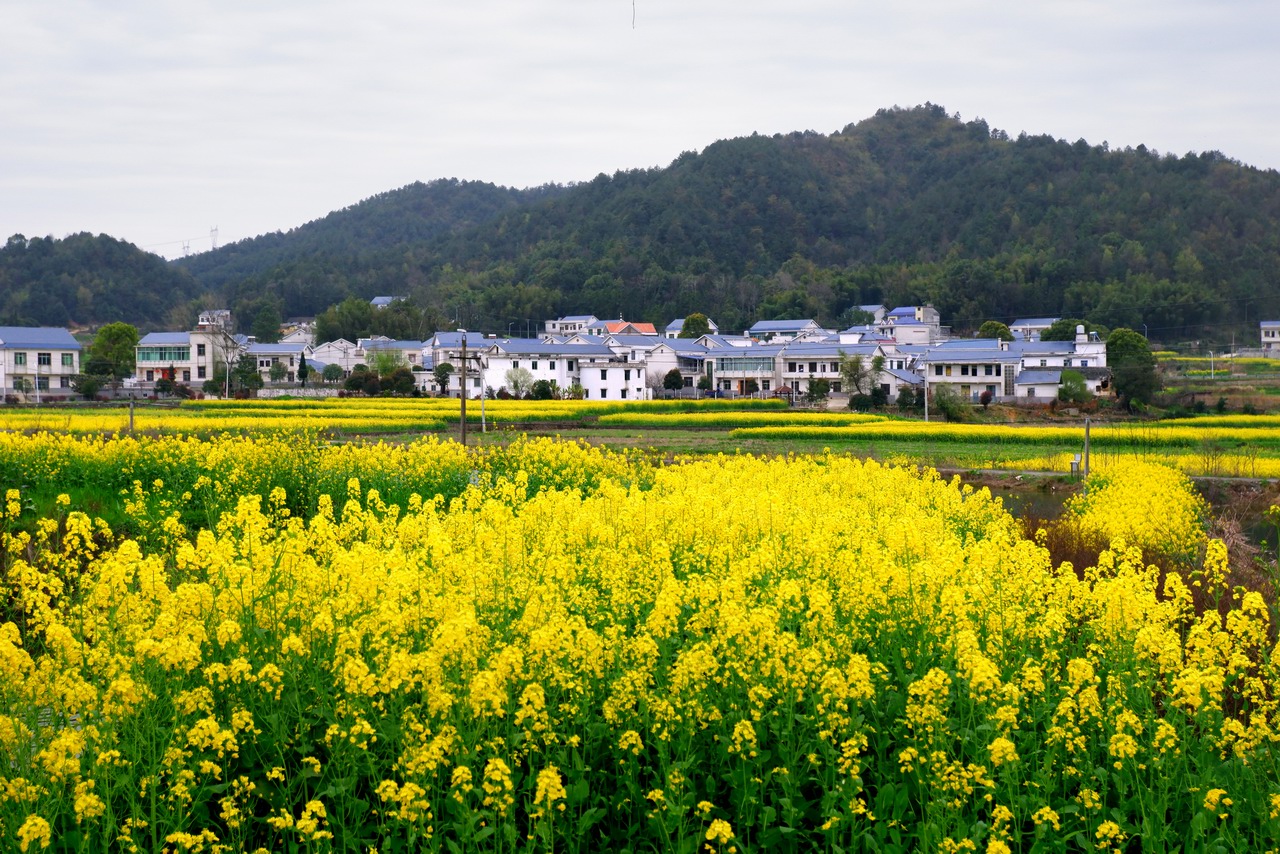 湘潭韶山企業(yè)網(wǎng)站建設(shè)建設(shè)的簡(jiǎn)單介紹