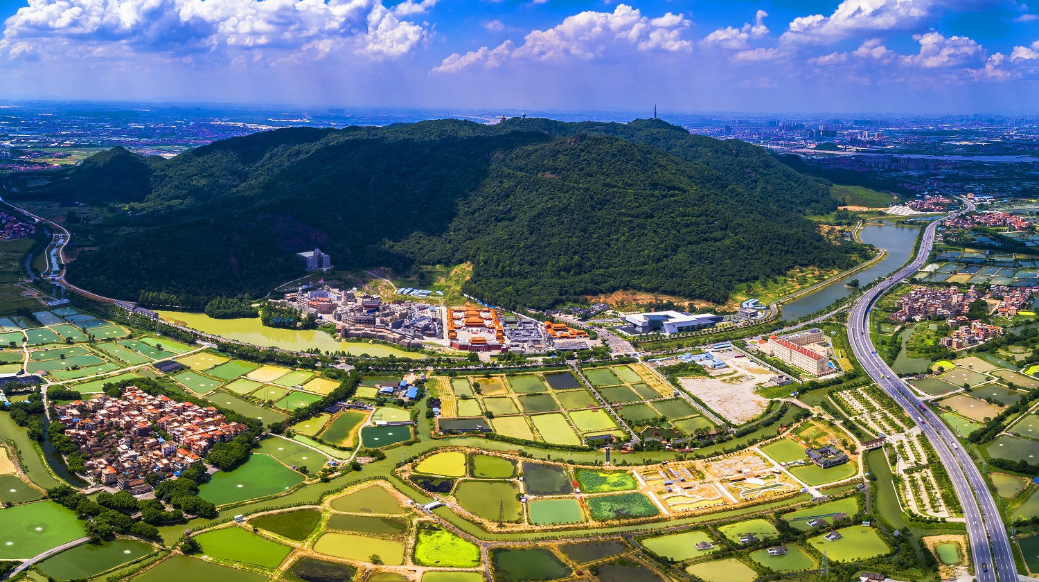 西樵大瀝網(wǎng)站建設新聞(西樵去大瀝車站坐幾路公交車)